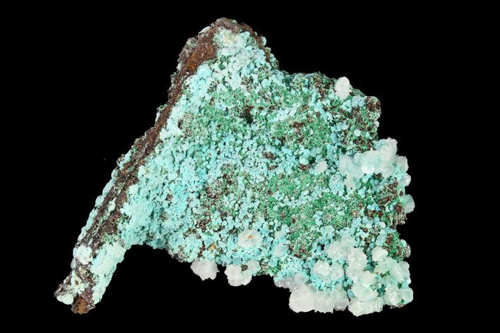 Aurichalcite, Malachite and Calcite Association - Utah #146183